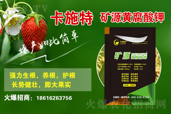 今日花生價(jià)格多少錢(qián)一斤？2021年3月19日花生價(jià)格行情