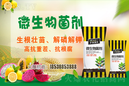 ��ݮ�����F(xi��n)���l���l(f��)������ҪԴ��ʲô������