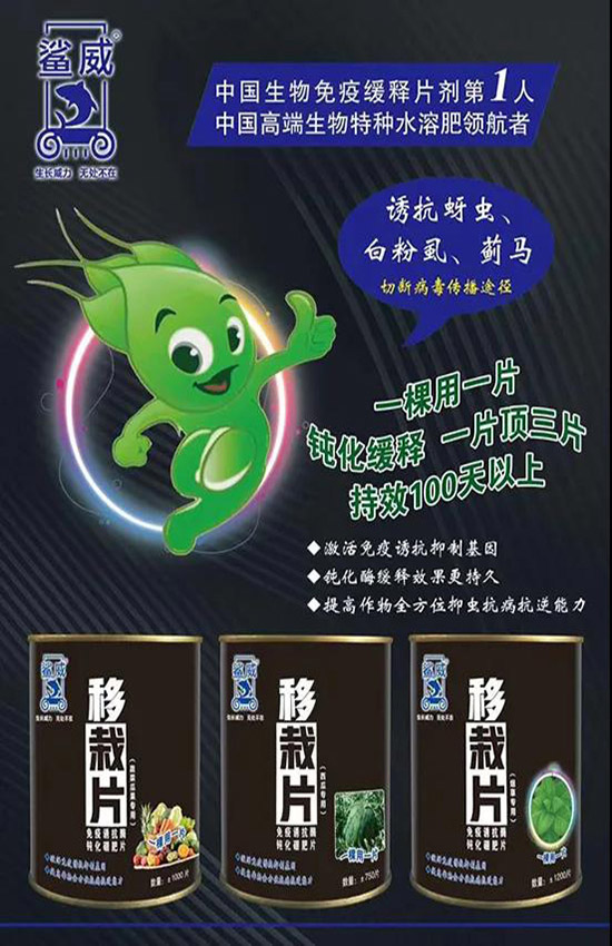 作物移栽時(shí)，怎么做能有效避免蟲害呢？