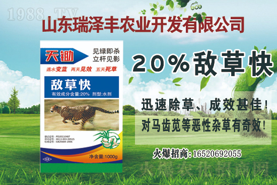 ���ݰ����݄��r(ji��)���߄�2021.4.13