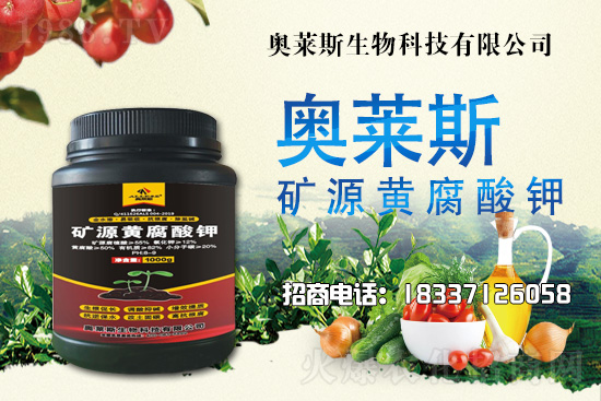 �`֥���a(ch��n)����(ji��)��ʲô�r���`֥���϶�ľ�������༼�g(sh��)��