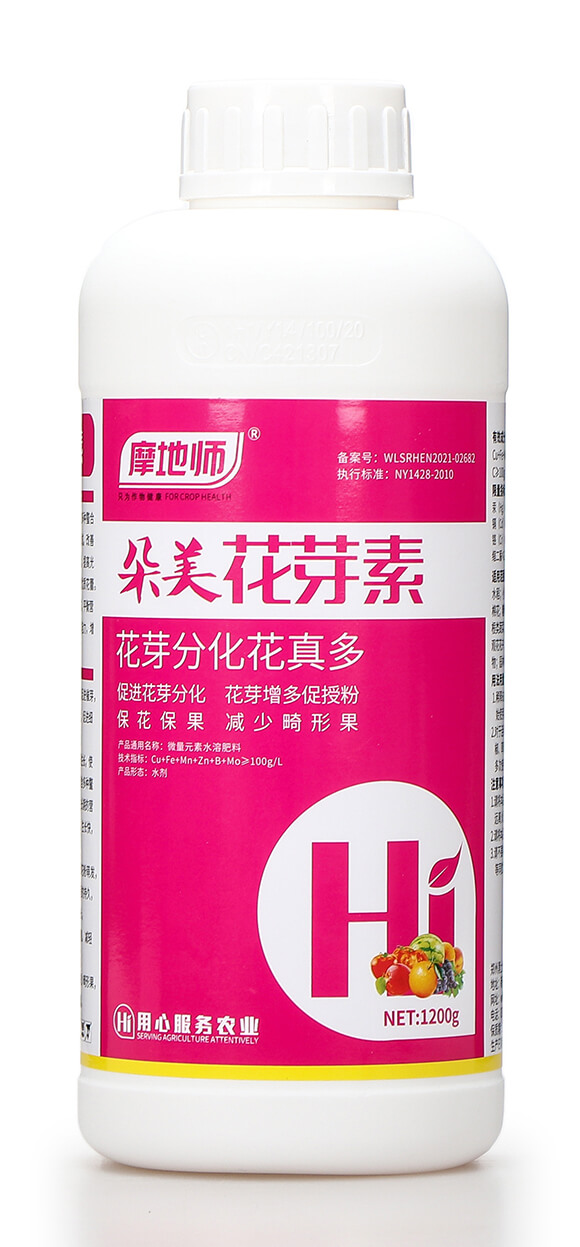 ������ѿ�� Ħ�؎�5