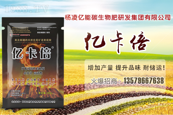 ���}�ۮa(ch��n)�����҇���Щʡ�ݣ����}������Щ��ҊƷ�N��