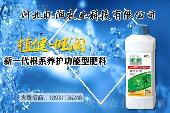 �{ݮ������ô�Nֲ���{ݮ����ķNֲ���޼����ݼ��g(sh��)��