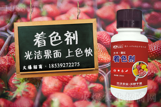 �����P(gu��n)ϵ�����A���m���r(n��ng)�I(y��)�c1988.TV�_(k��i)����ƪ�£�