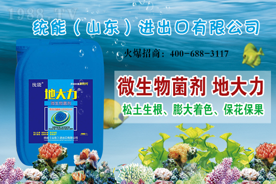 ɽ�|�y(t��ng)���ٺ�1988.TV���y�ִ����������E��