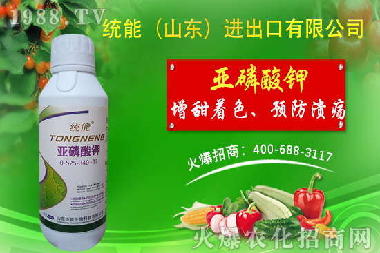 ɽ�|�y(t��ng)���ٺ�1988.TV���y�ִ����������E��