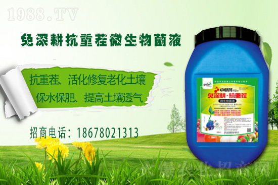 �����P(gu��n)ϵ�����A���ﲩʿ���F(tu��n)�m(x��)�s1988.TV�����\�����°l(f��)չ��