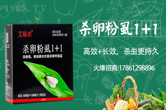     �����r(n��ng)�I(y��)�ٶȔy��1988.TV���y�ֹ���(chu��ng)��(zh��n)����