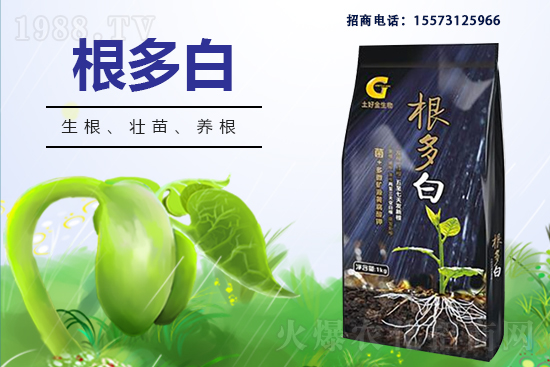 �����P(gu��n)ϵ�����A�����ý������ٺ�1988.TV������(chu��ng)���x����