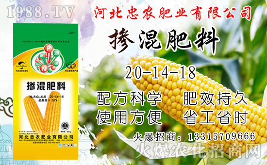 ���׳���