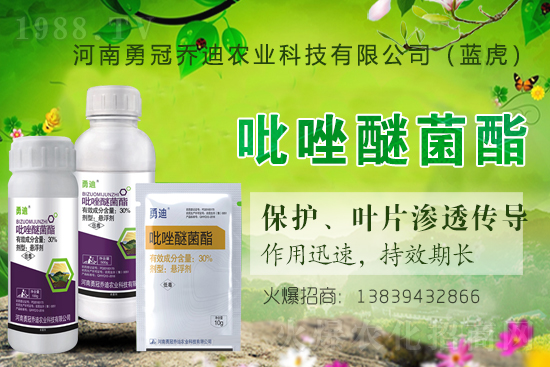 �����������¹چ̵ϣ��{(l��n)�����ٺ�1988.TV������(chu��ng)���x����