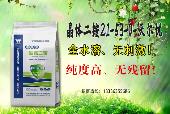 一銨延續(xù)高位，2021.6.25磷銨價(jià)格行情早報(bào)