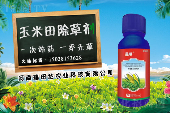 �r����݄�6