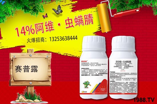 ِ��¶����𱬁�(l��i)�u���ٺ����r(n��ng)�����̾W(w��ng)�_(k��i)��(chu��ng)���x����