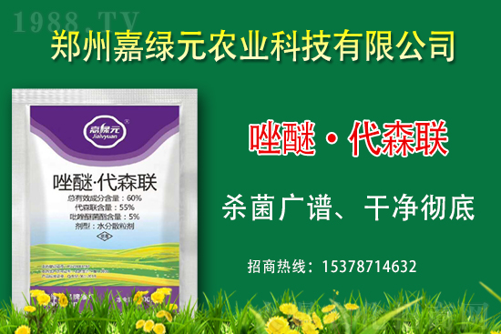 �������������ξGԪ�r(n��ng)�I(y��)�ٺ�1988.TV������(chu��ng)���x����