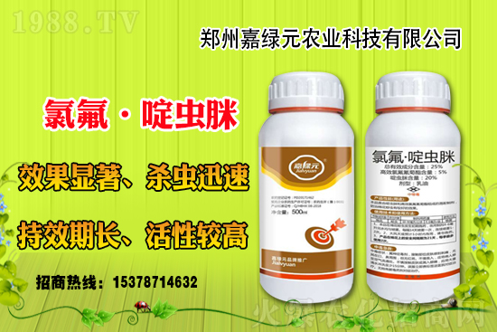 �������������ξGԪ�r(n��ng)�I(y��)�ٺ�1988.TV������(chu��ng)���x����