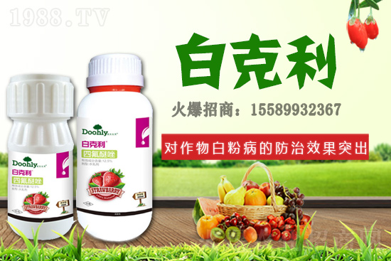 ��(gu��)�|���m(x��)�s1988.TV����(zh��n)�Ժ����P(gu��n)ϵ�������_(t��i)�A��