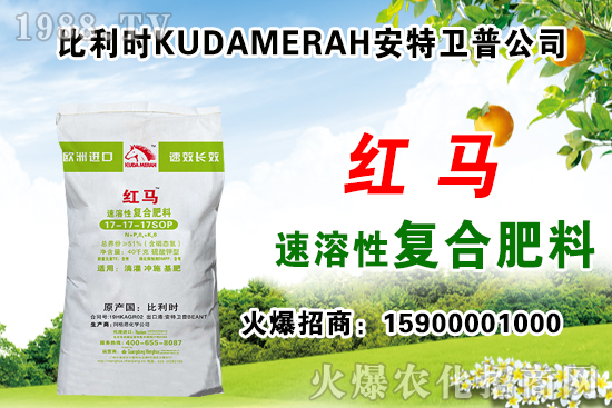 高位運(yùn)行，2021年6月4日復(fù)合肥行情分析