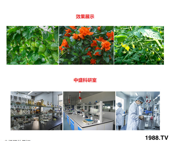 �����ɫ�ͺ���ֲ��ˮ�ܷ� ��ؾ��A �r������4