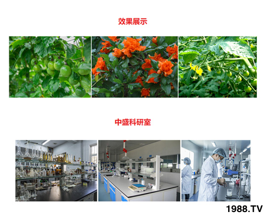 5kg��������ˮ�ܷ� ��ؾ��A �r(n��ng)������4