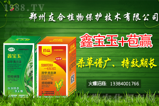 �S�׻�¡���݄��r������2021.7.10