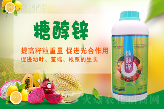 ����a�\�����Ǵ��\���Ǵ��\���ö�����Щ��