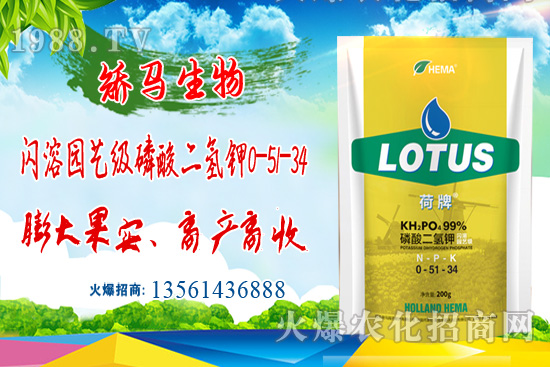 ⛷ʸ�λ�\(y��n)����2021��7��27�Շ���(n��i)⛷ʃr������