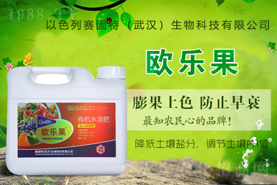 ��ɫ��ِ�����ٶȔy��1988.TV���y�ֹ���(chu��ng)��(zh��n)��(j��)���ل�(chu��ng)�x����