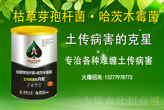 ��ռ�̙C���������A�����������y���r(n��ng)���W(w��ng)�ل�(chu��ng)���x����