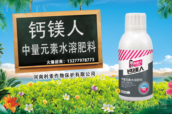 ��ռ�̙C���������A�����������y���r(n��ng)���W(w��ng)�ل�(chu��ng)���x����