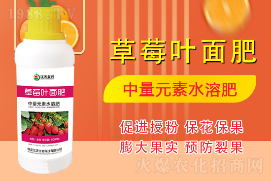 �����l(f��)չ������(chu��ng)δ��(l��i)���������ﺞ�s1988.TV������(chu��ng)���x����