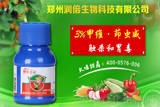 危害盛期的桃蚜如何防治？桃樹蚜蟲的危害與防治！