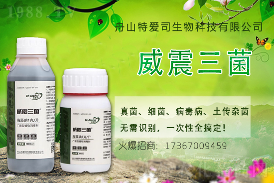 ע�⣺���״�߲��������к��ڲ���