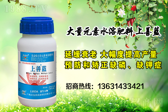 廣州市先益農(nóng)再度攜手1988.TV，攜手共創(chuàng)新戰(zhàn)績(jī)！