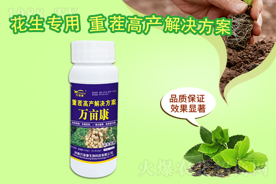 ���@����(w��n)������20219��10�����@�r�������r