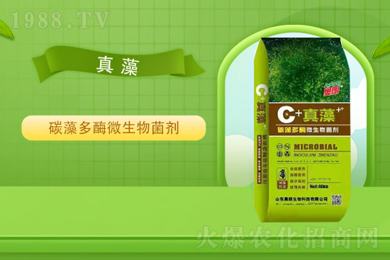 �Ȼ�⛃r(ji��)��ƽ��(w��n)��2021��9��2�Շ�(gu��)��(n��i)⛷ʃr(ji��)���߄�(sh��)