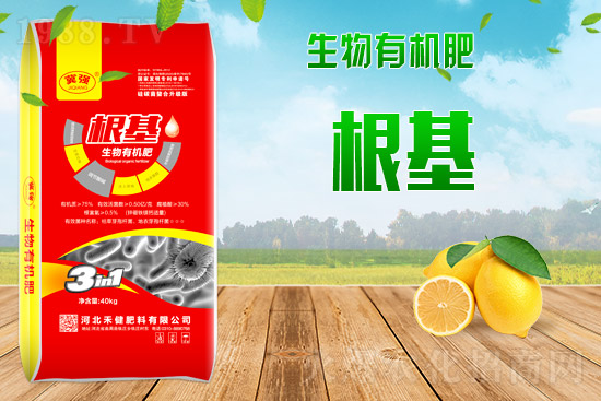 �ͺϷʳ��S��r��2021��9��2�ՏͺϷʃr���Ո�