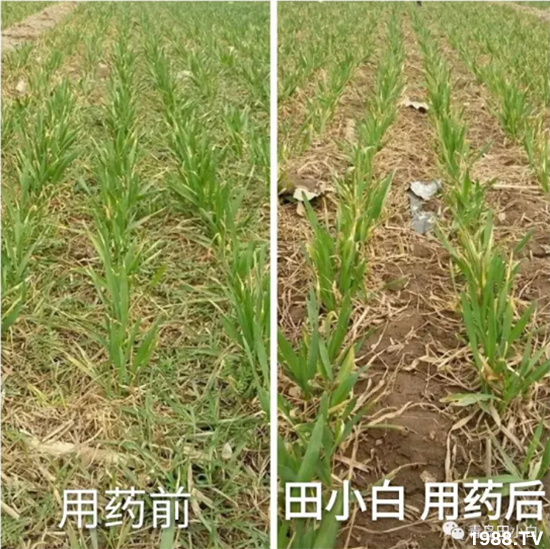 ��(ji��)��(ji��)��Σ����(y��n)����ô������ʲôˎ��Ч���ã�