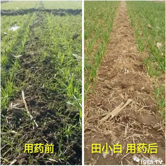 ��(ji��)��(ji��)��Σ����(y��n)����ô������ʲôˎ��Ч������