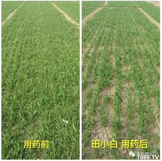 ��(ji��)��(ji��)��Σ����(y��n)����ô����ʲôˎ��Ч������