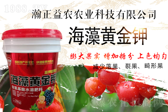 ��������r(n��ng)��ף���т��I(y��)�������ϣ������������µ�һ�����չ��D��