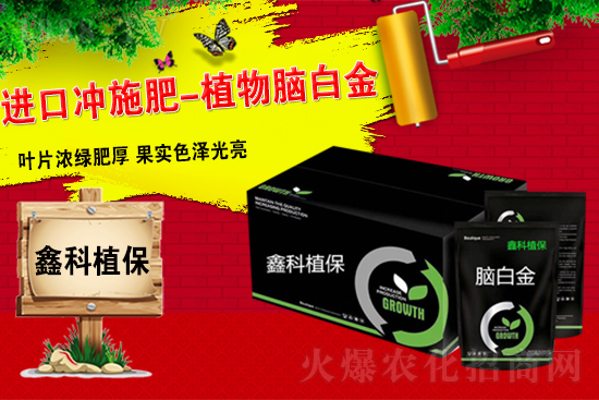     ���ο�ֲ����ף������µ�һ�������w���������������