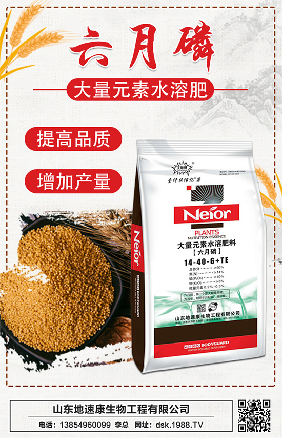 �����ٿ����ף�������w������ǰ�����\���������M��