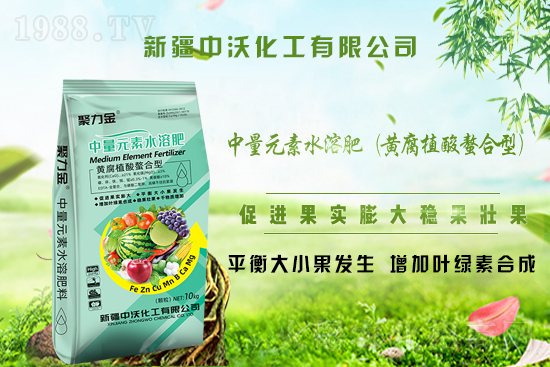 ���½����ֻ�����ף�V�����т�����옷���Ҹ�������