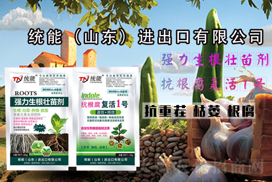 ��ɽ�|�y(t��ng)�ܡ�ףһ·�߁������т�����������\(y��n)�o����