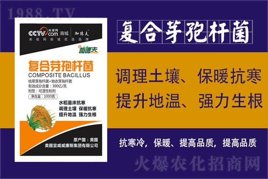 �������ɭ�ء�ףȫ����������옷���󼪴��������\������