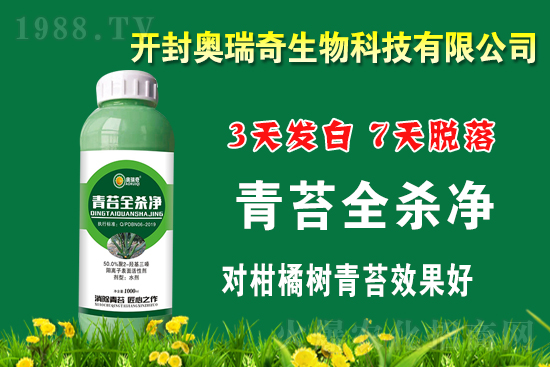 ���_��W���桿ף������µ�һ����͚����������w�������f��������