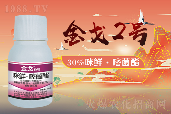 ��ِ�Z������ף�V��(j��ng)�N(xi��o)�����ѻ�����\(y��n)����ס��ؔ(c��i)�\(y��n)�L�L��(l��i)��