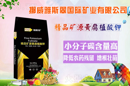 ��Ų����˹�䡿ף�V��(j��ng)�N��2022�껢������H�Қg��������(ji��)�옷��